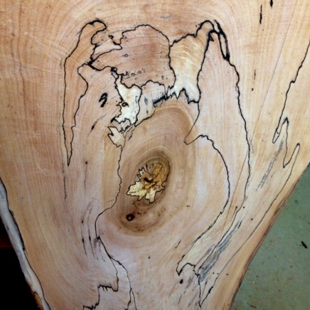 wood slice showing unique grain